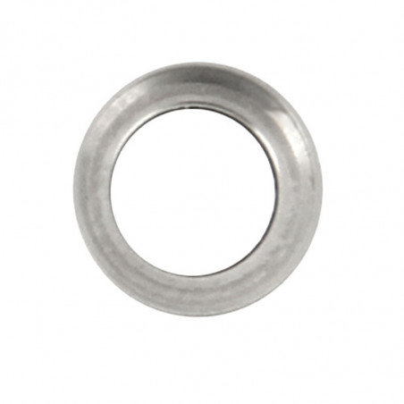 Lentille caméra arrière avec contour iPhone 6/6S - Argent