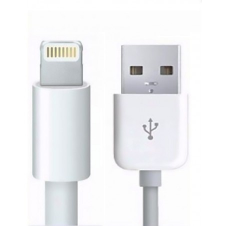 Câble Lightning MD819ZM/A d'Origine (2M) - Blanc