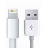 Câble Lightning MD819ZM/A d'Origine (2M) - Blanc