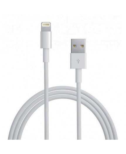 Câble Lightning vers USB - Chargement et Synchronisation MD818ZM/A - Blanc (1M) Boîte d'Origine