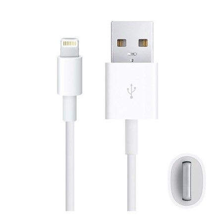 Câble Lightning MD818ZM/A d'Origine (1m) - Blanc