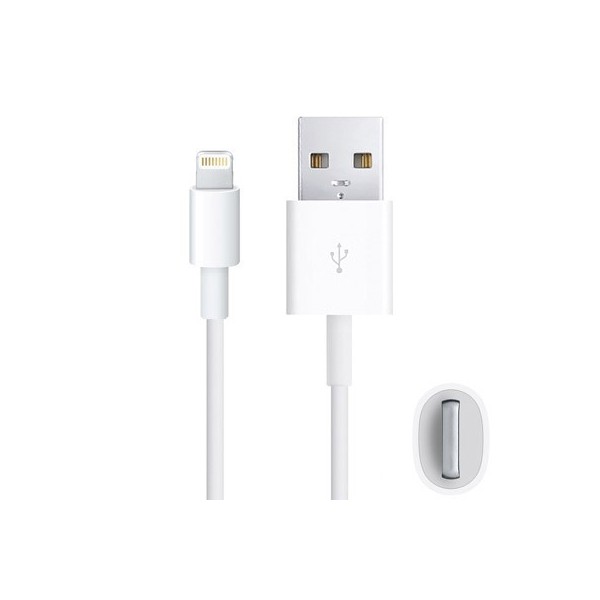Câble Lightning MD818ZM/A d'Origine (1m) - Blanc