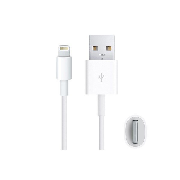 Câble Lightning de Chargement et Synchronisation iPhone/iPad/iPod - Blanc (1 M)