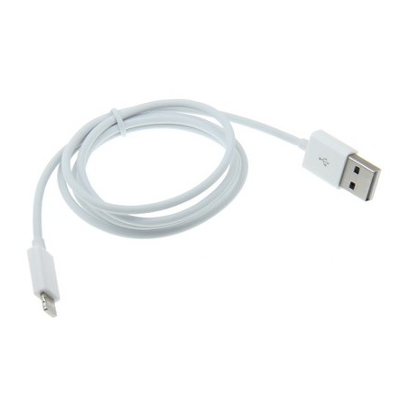 Câble Lightning de Chargement et Synchronisation iPhone /iPad/iPod - Blanc (2 M)