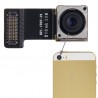 Caméra Arrière iPhone 5S